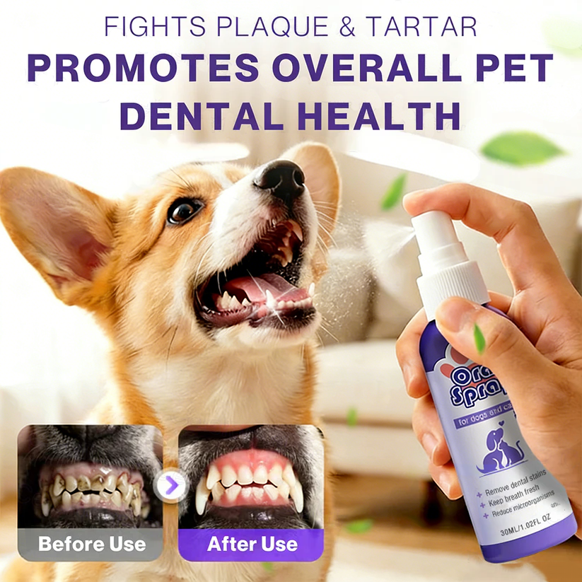 Cavebit™ Pet Oral Spray ✅FDA Approved | Freshen Breath, Remove Tartar & Promote gum regeneration, stabilize teeth 🦷🦷